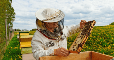 Важно съобщение за пчеларите