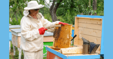 Съобщение до пчеларите