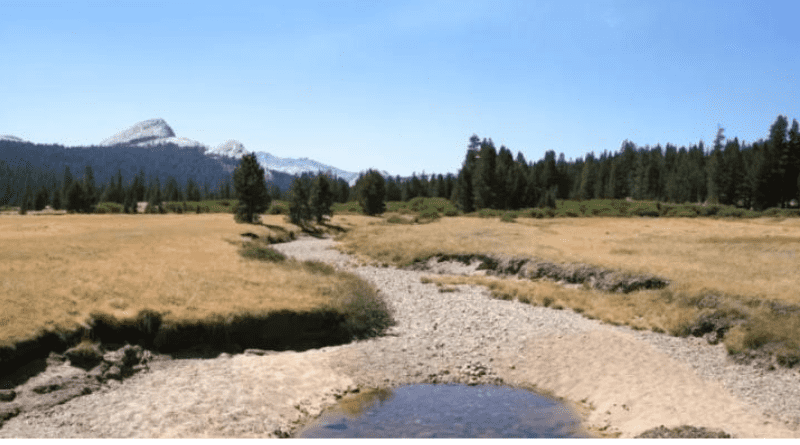 Река Стряма до Пловдив пресъхна. Природозащитници и жители притеснени.