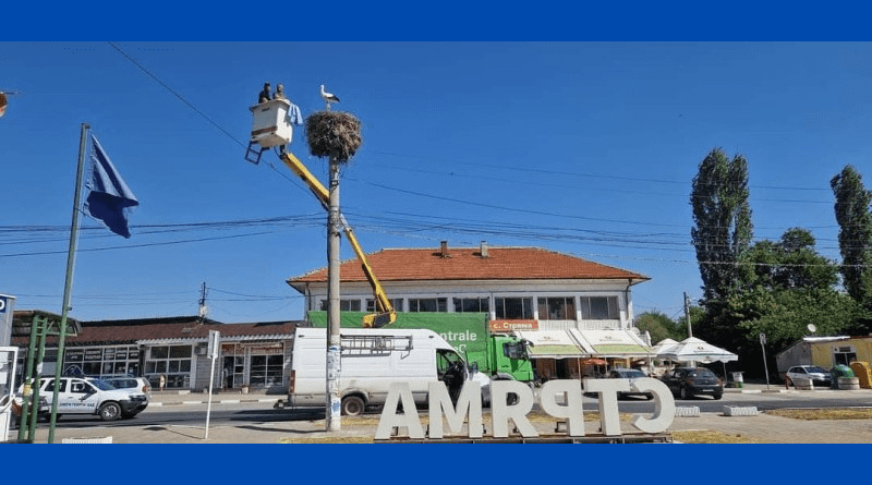 Спасиха бедстващо щъркелче в село Стряма